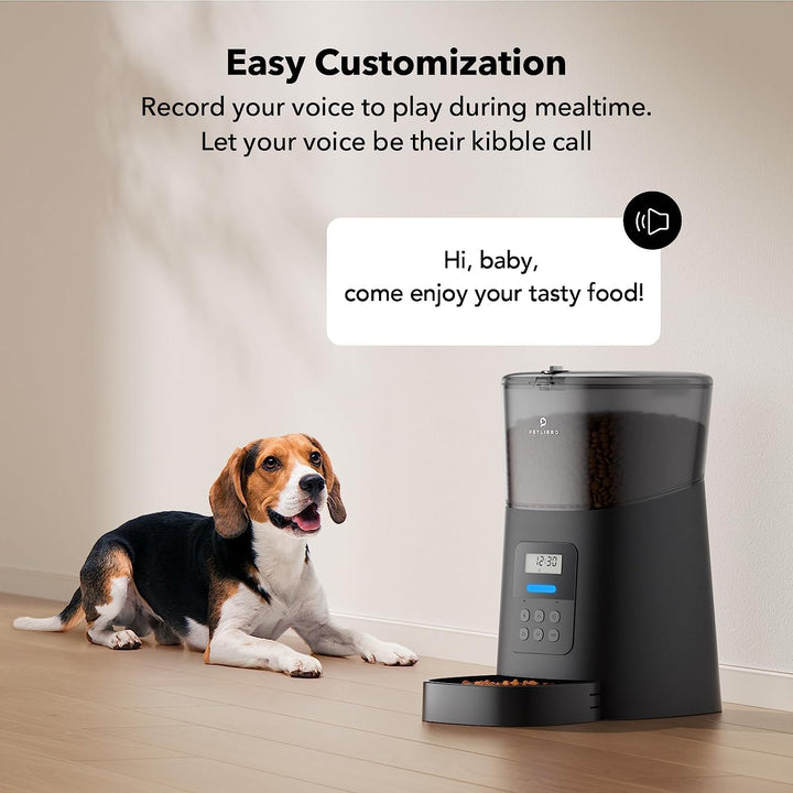 Pawspal Smartfeast 6L - Automatic Dog Feeder & Dry Food Dispenser